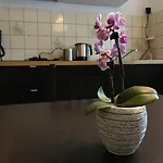 Apartmenthaus Marten