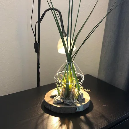 Lägenhet Apartmenthaus Marten *