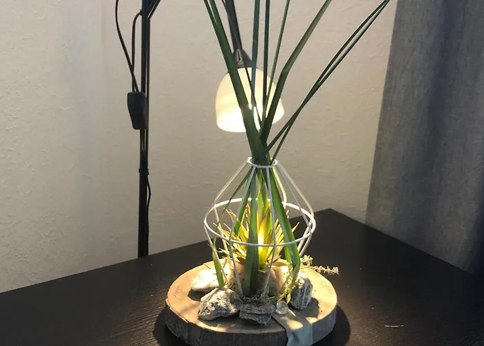 Appartement Apartmenthaus Marten *