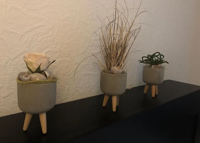 Apartmenthaus Marten Appartement