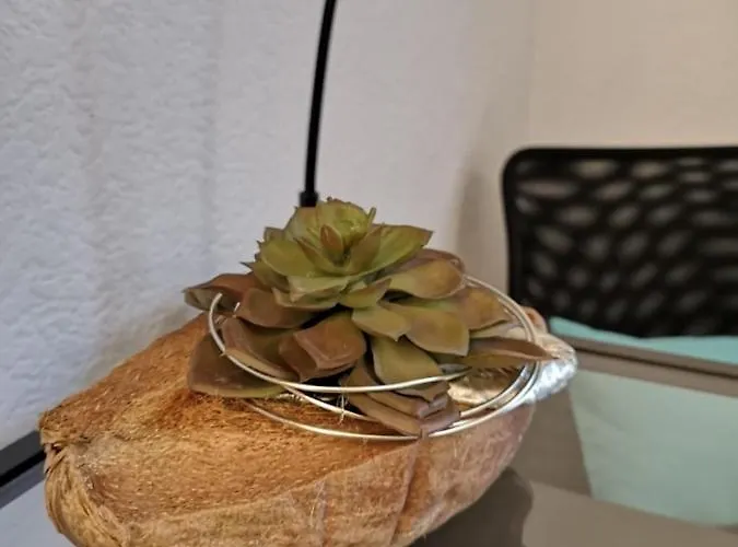 Appartement Apartmenthaus Marten Dortmund